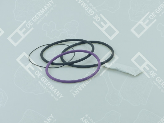 030111071000, O-Ring Set, cylinder sleeve, OE Germany, 271159, 271159-6, 50006634